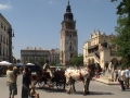 03: Die Tuchhallen und der Rathausturm auf dem Krakauer Hauptmarkt